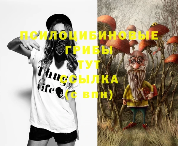 хмурый Балахна