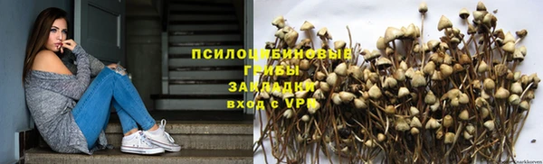 хмурый Балахна