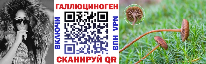 купить наркотик  Буинск  Галлюциногенные грибы мицелий 